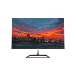Value-Top T24IFR100 23.8" Full HD 100Hz IPS LED Monitor